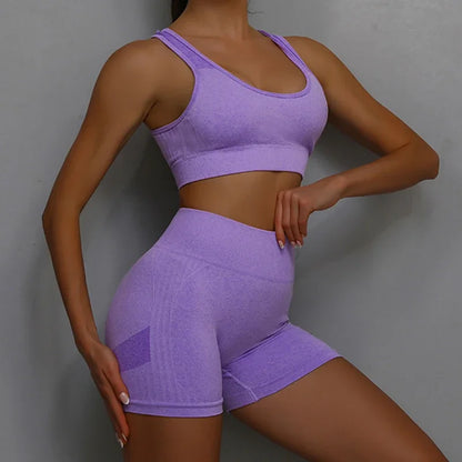 Seamless Sports Bra & Shorts Yoga Set