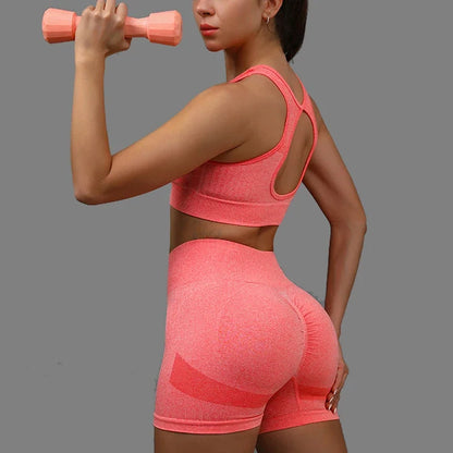 Seamless Sports Bra & Shorts Yoga Set
