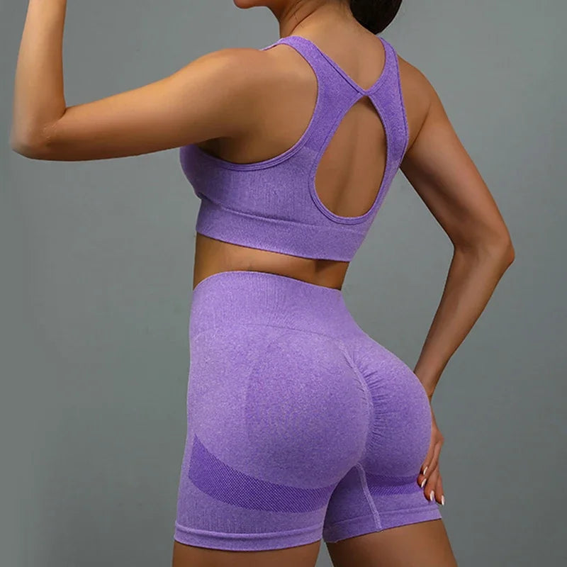 Seamless Sports Bra & Shorts Yoga Set